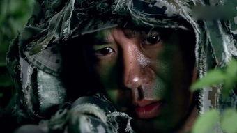 枪神之倒刺全集在线观看,全剧情揭秘，在线观看不容错过