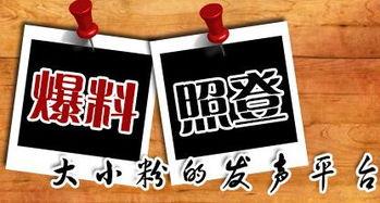 到哪里新闻爆料,追踪真相，守护公正  第1张